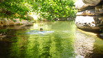 photo thumbnail #10