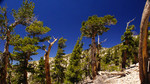 photo thumbnail #6