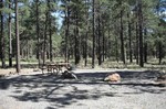photo thumbnail #5