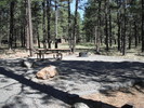 photo thumbnail #6