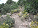 photo thumbnail #1