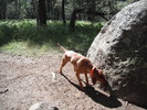 photo thumbnail #2