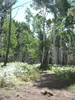 photo thumbnail #3