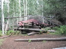 photo thumbnail #4