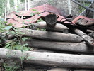 photo thumbnail #5