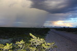 photo thumbnail #8