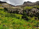 photo thumbnail #7
