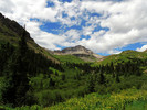 photo thumbnail #8