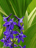 photo thumbnail #12