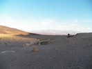 photo thumbnail #15