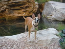 photo thumbnail #2