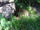 photo thumbnail #10