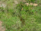photo thumbnail #11