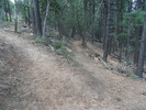 photo thumbnail #12