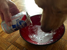 photo thumbnail #7