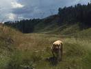 photo thumbnail #14