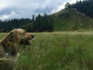 photo thumbnail #15