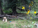 photo thumbnail #11