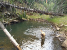 photo thumbnail #12