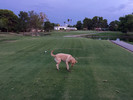 photo thumbnail #2
