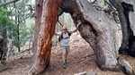 photo thumbnail #10