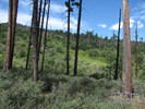 photo thumbnail #13
