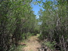 photo thumbnail #14