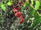 photo thumbnail #15