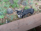 photo thumbnail #5