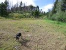 photo thumbnail #8