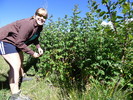 photo thumbnail #9