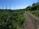 photo thumbnail #10
