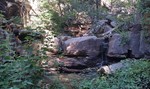photo thumbnail #3