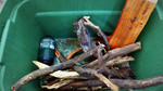 photo thumbnail #8