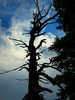 photo thumbnail #11