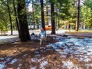 photo thumbnail #6