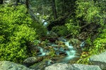 photo thumbnail #13