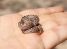 photo thumbnail #2