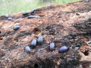 photo thumbnail #2