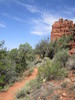photo thumbnail #14