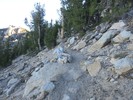 photo thumbnail #4