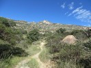 photo thumbnail #1