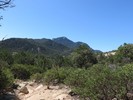 photo thumbnail #3