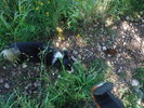 photo thumbnail #6