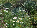 photo thumbnail #13