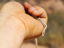 photo thumbnail #1