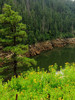 photo thumbnail #11