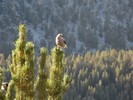 photo thumbnail #5