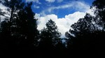 photo thumbnail #11