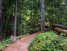 photo thumbnail #3